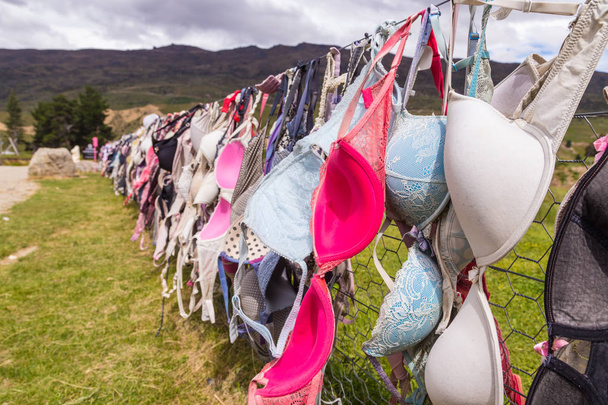 bras hanging on fence - Photo, Image