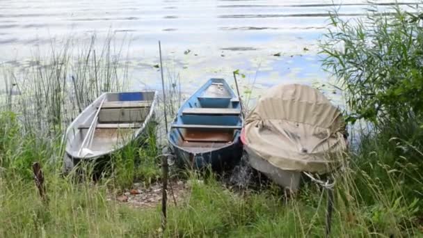 roeiboot op kust van Havel rivier (Brandenburg en). Landschap langs Havelradweg (Havel fietspad) - Video