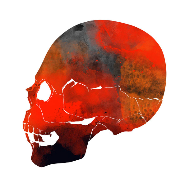 hand drawn skull - Foto, afbeelding