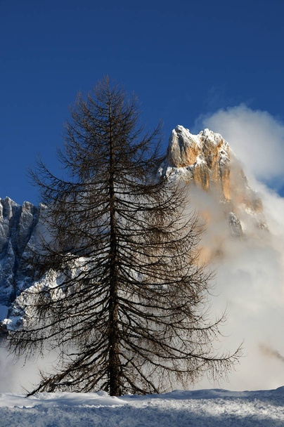 Itálie Alpy, Jižní Tyrolsko, Dolomity. Cimon della Pala nebo Cimone s mraky v Pale di San Martino skupiny. - Fotografie, Obrázek