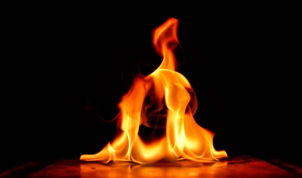 Fire flames on a black background. - Photo, Image