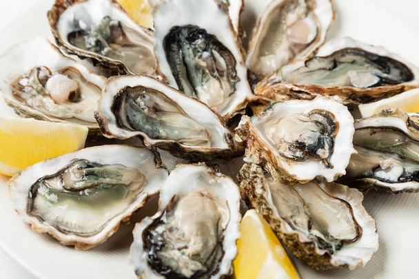 Fresh oysters on a plate - Фото, изображение