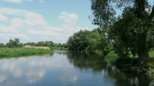 Havel Krajobraz rzeczny (Brandenburgia Niemcy) - Materiał filmowy, wideo