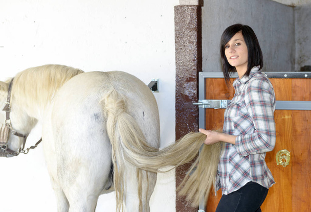 Όμορφη νεαρή κοπέλα και άσπρο άλογο στο στάβλο - Φωτογραφία, εικόνα