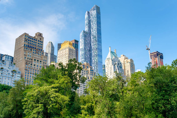 Trees in Central Park with of the midtown Manhattan skyline in N - Фото, изображение