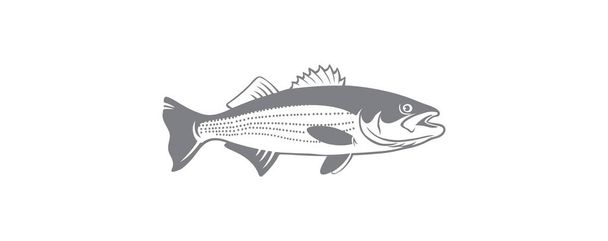 Смугастий окунь риби
 - Вектор, зображення