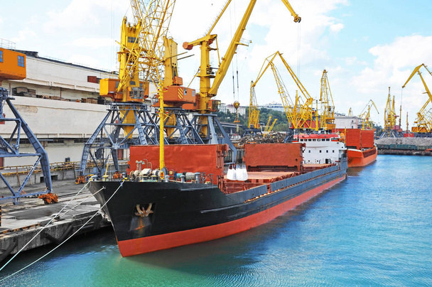 Bulk Cargo Schiff unter Hafenkran - Foto, Bild