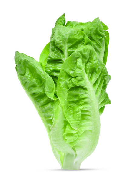 fresh baby cos,lettuce isolated on white background - Foto, Imagen