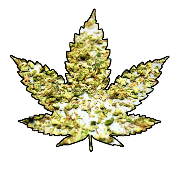 Marijuana and Cannabis Leaf Icon  - Photo, Image