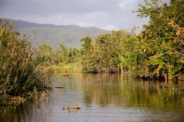 Madagaskar traditionelle Flusslandschaft - Foto, Bild