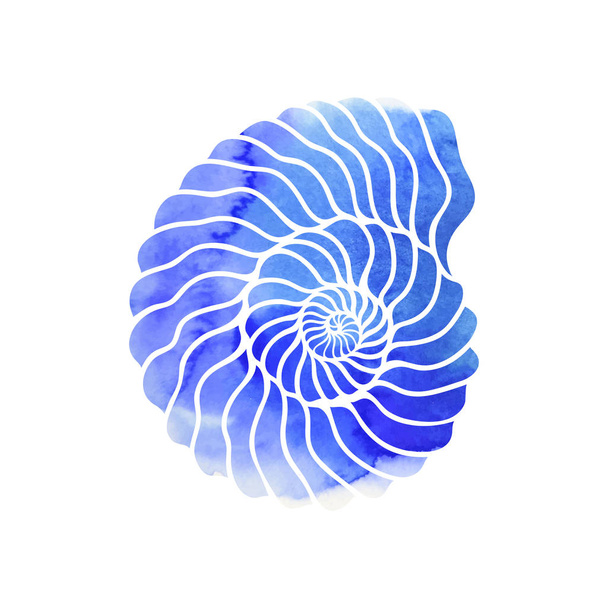 Círculo gráfico concha marina
 - Vector, imagen