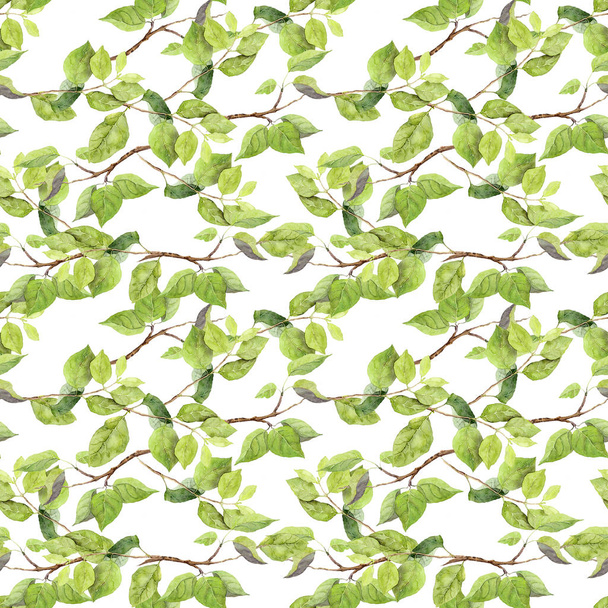 Green leaves pattern. Watercolour - Фото, зображення