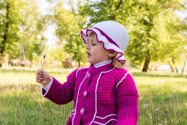 The child, a little girl blowing on a dandelion. Walk through the park in spring. Carefree childhood. - Photo, Image
