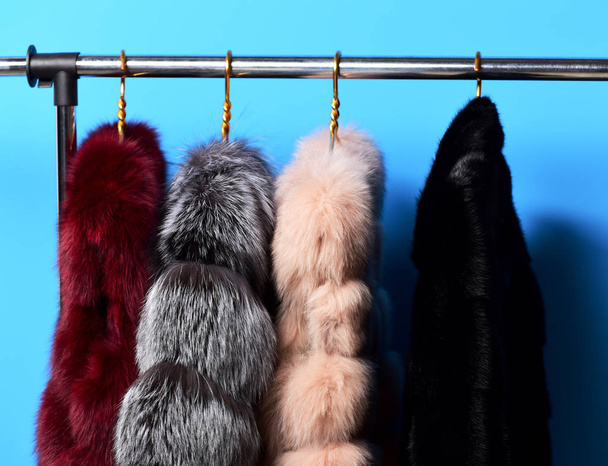 fashionable fur on hangers - 写真・画像