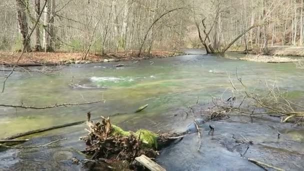 Τοπίο του Wuerm ποταμού τοπίο την άνοιξη - Πλάνα, βίντεο