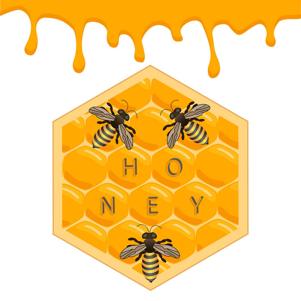 Векторна ілюстрація логотипу для теми бджіл і меду
 - Вектор, зображення