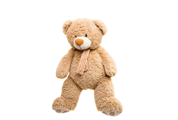 Big Bear soft toy isolated  - Photo, Image