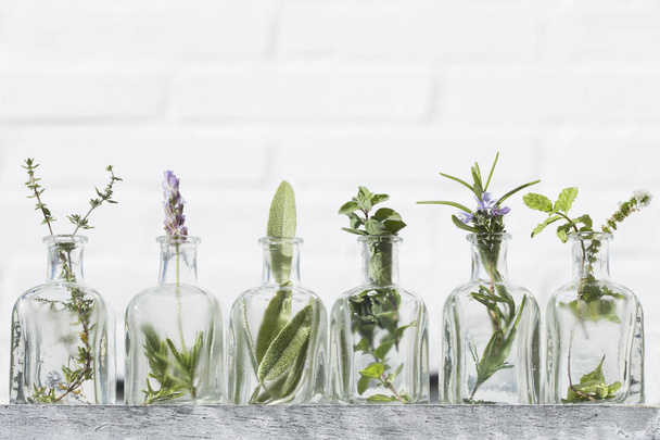 Bottle of essential oil with herbs - Fotoğraf, Görsel