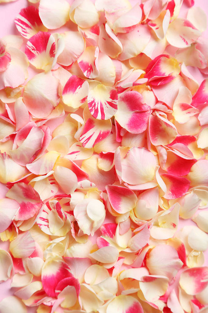Pink rose petals - Fotografie, Obrázek