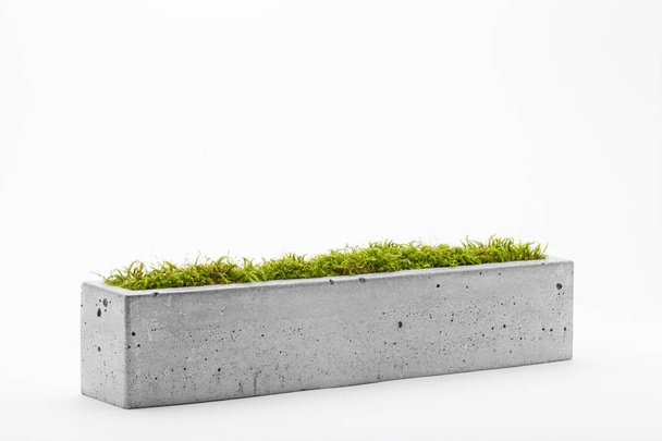 Concrete pots with moss - 写真・画像