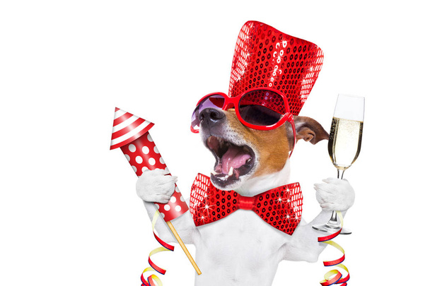happy new year dog celberation - Фото, зображення