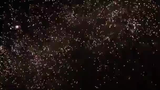 Los fuegos artificiales de Año Nuevo en el cielo nocturno - Imágenes, Vídeo
