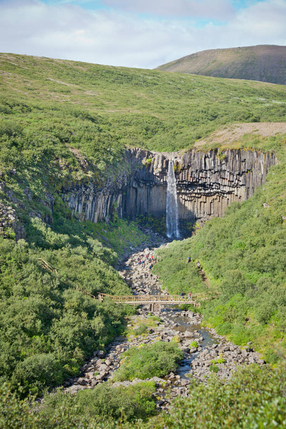 Svartifoss Waterfall in Iceland - Photo, Image