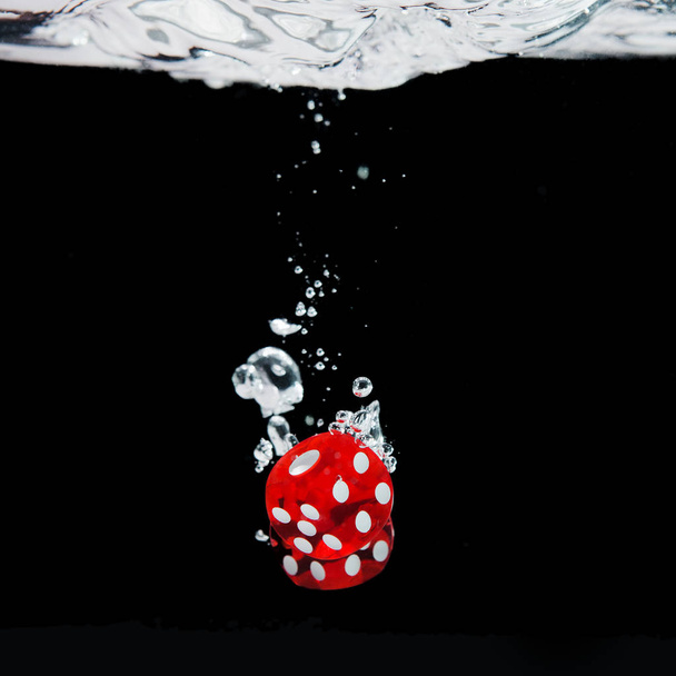 Dice playing in the water - 写真・画像