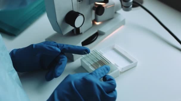 Scientist working in laboratory with samples - Filmati, video