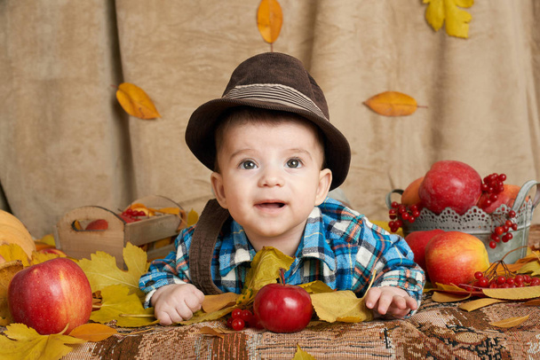 syksyllä pieni lapsi poika makaa keltainen syksy lehdet, omenat, kurpitsa ja koristelu tekstiili
 - Valokuva, kuva
