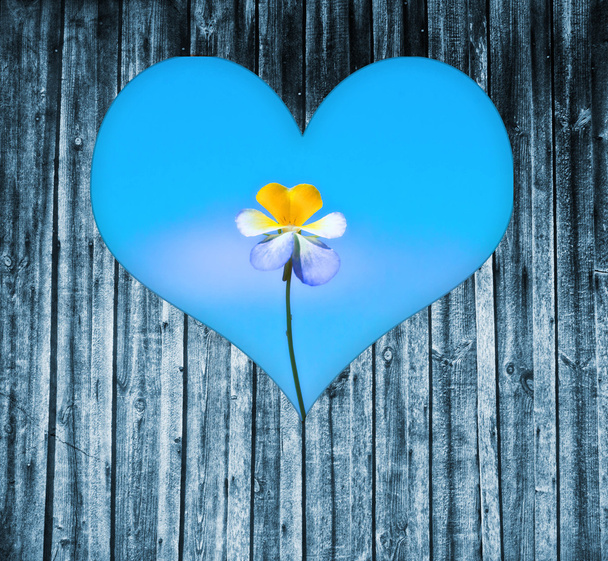 Heart shaped window on a wooden door to a flower - Photo, Image