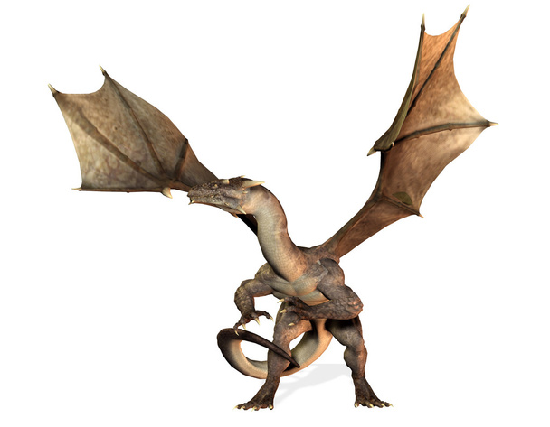 Неприступного дракона
 - Фото, зображення