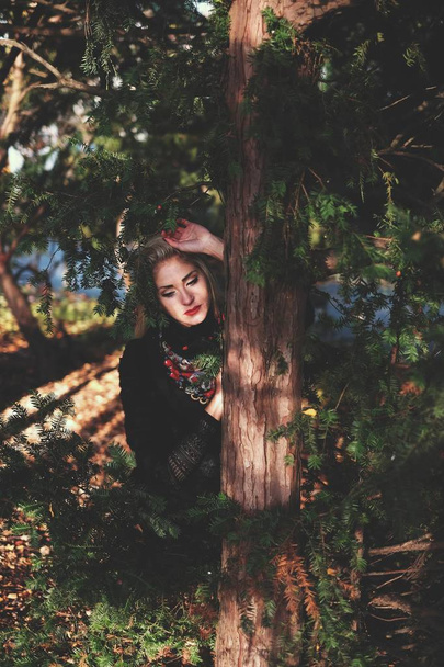 Mooi meisje in de naaldhout bos - Foto, afbeelding