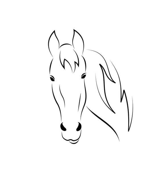 Symbol outline head horse isolated on white background - Foto, Bild