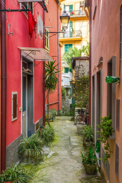 pintoresco callejón en Monterosso al Mare, Italia
 - Foto, imagen