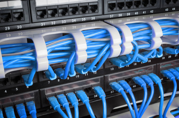 Estante del servidor con cables azules
 - Foto, Imagen