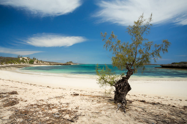 Райский песчаный пляж на Мадагаскаре, Анциранана, Диего Суарес
 - Фото, изображение