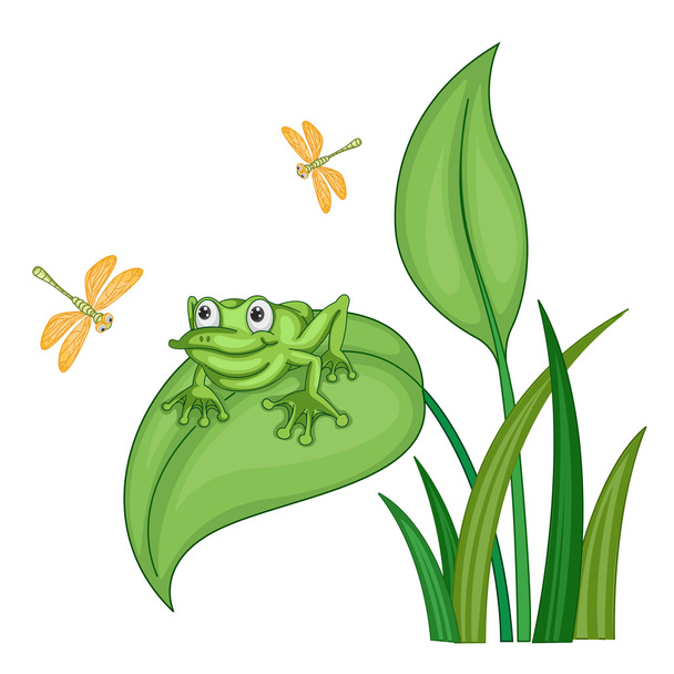 Зелена жаба
 - Вектор, зображення
