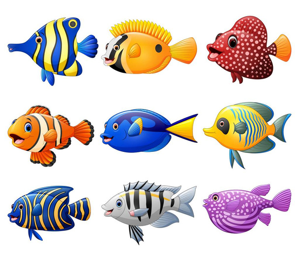 Fish cartoon set - Vector, Image