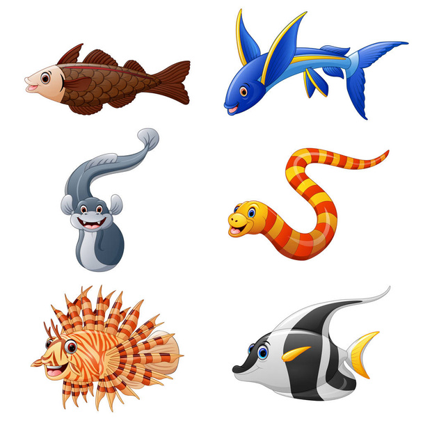 Cute fish collection set - Vector, Image