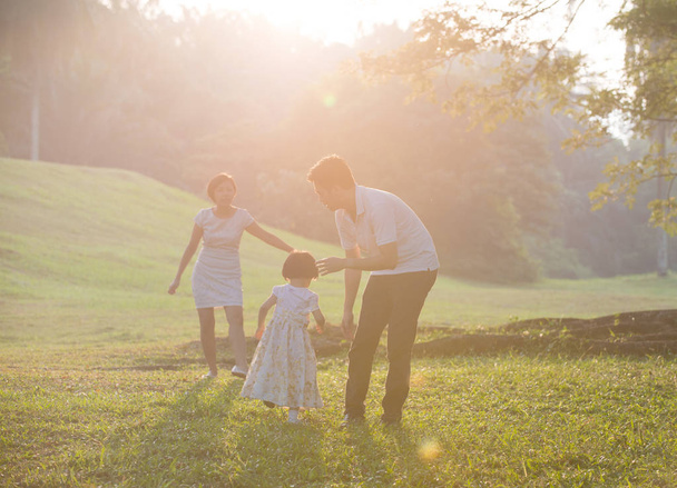 счастливая азиатская семья в парке - Фото, изображение