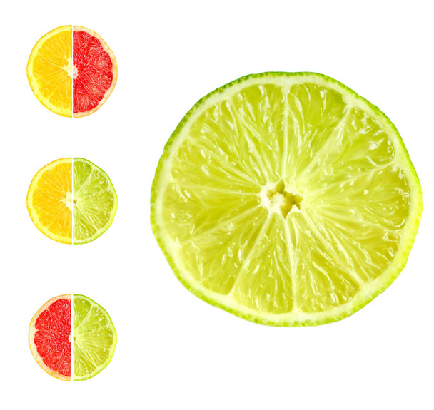 Набор цитрусовых из грейпфрута, апельсинов и лаймов на белом фоне
 - Фото, изображение