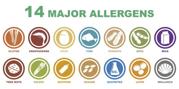 14 głównych alergenów ikony - Wektor, obraz