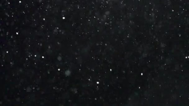 Медленное движение зимнего снегопада
 - Кадры, видео