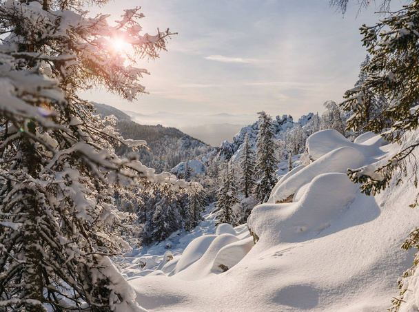 石のグレードと山の森冬の風景 - 写真・画像