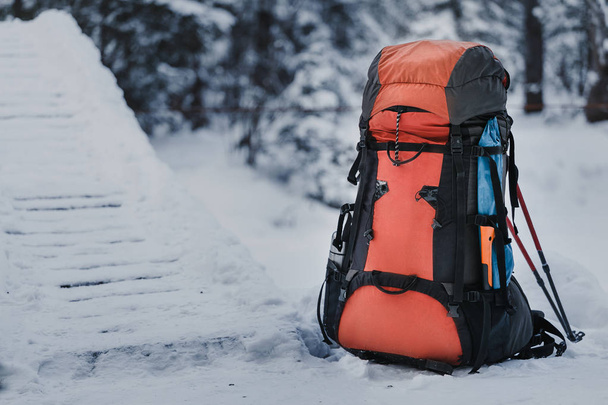 Помаранчевий трекінг важкий рюкзак у засніженій зимовій сосновій деревині
 - Фото, зображення