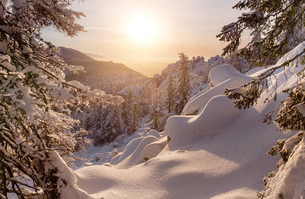 Fagyos téli táj snowdrifts, hóval borított erdő és a felkelő nap sunflare - Fotó, kép