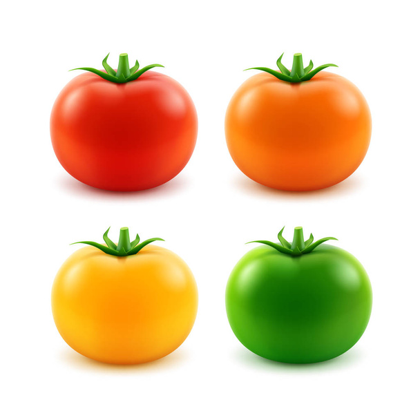 Set of Big Red Orange Green Yellow Whole Tomato Isolated - Vector, Image