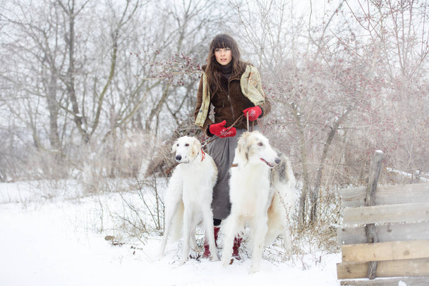 meisje met twee greyhounds in de winter sneeuw vallen - Foto, afbeelding