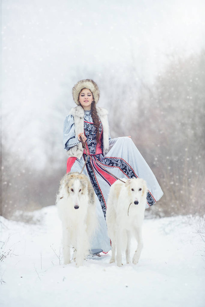 girl with two greyhounds walking in the winter - Photo, Image